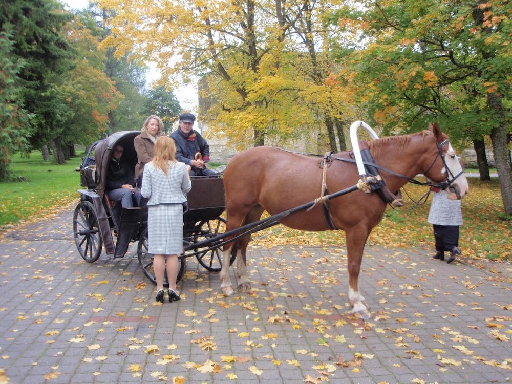 Vihula Manor Country Club & Spa Eksteriør bilde
